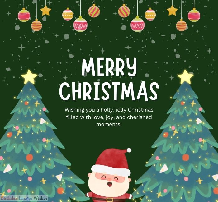 Merry Christmas wishes - 2025